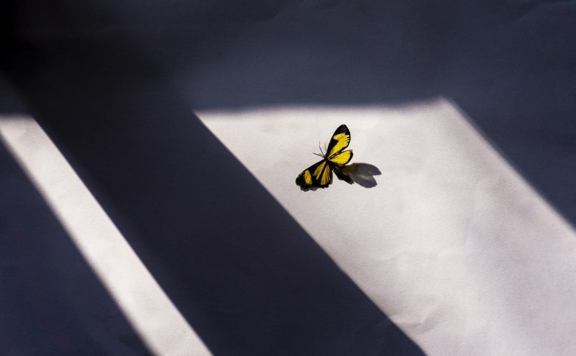 Jakie ona wybrać do nowego domu? Jakie okna kupić aby później nie żałować decyzji?