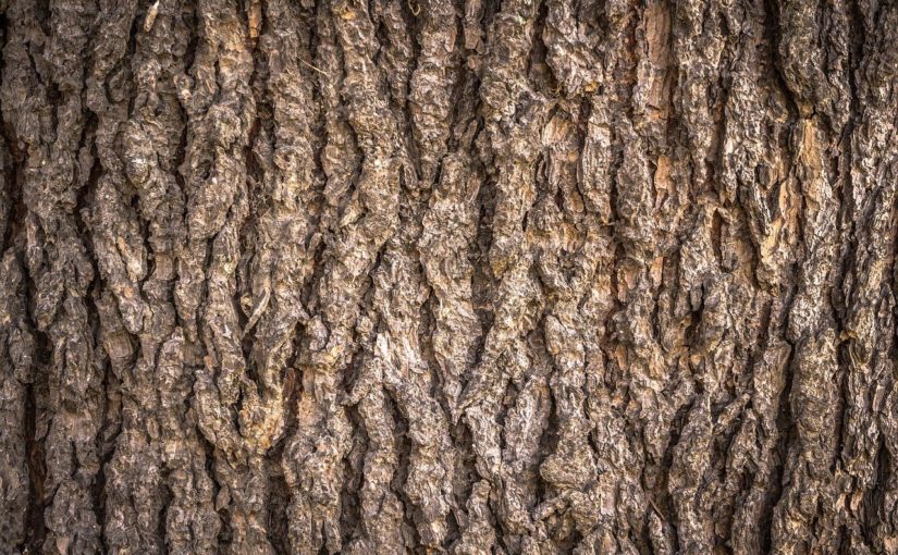 Przepiękny i {schludny ogród to nie lada wyzwanie, szczególnie jak jego konserwacją zajmujemy się sami.