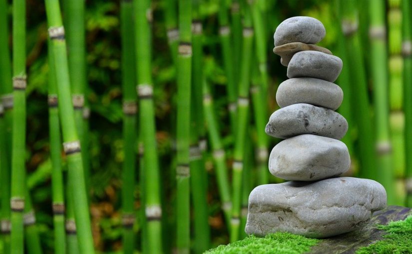 Ładny ,a także porządny ogród to zasługa wielu godzin spędzonych  w jego zaciszu w trakcie pielegnacji.