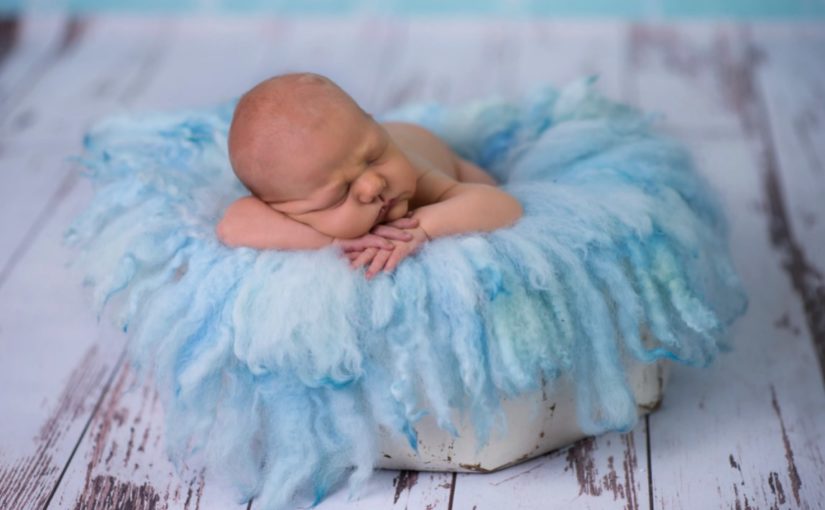 Narodziny szkraba to czas niespotykany chcemy ocalić ową chwile.