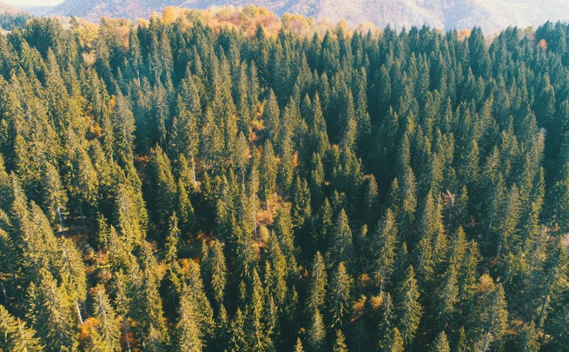 Szambo – Kluczowe Dla Samooceny i Środowiska: Czynności, Konserwacja, Usuwanie. Troszczmy się o Własne Otoczenie, Zidentyfikujmy Wagę Struktury Odprowadzania ścieków.